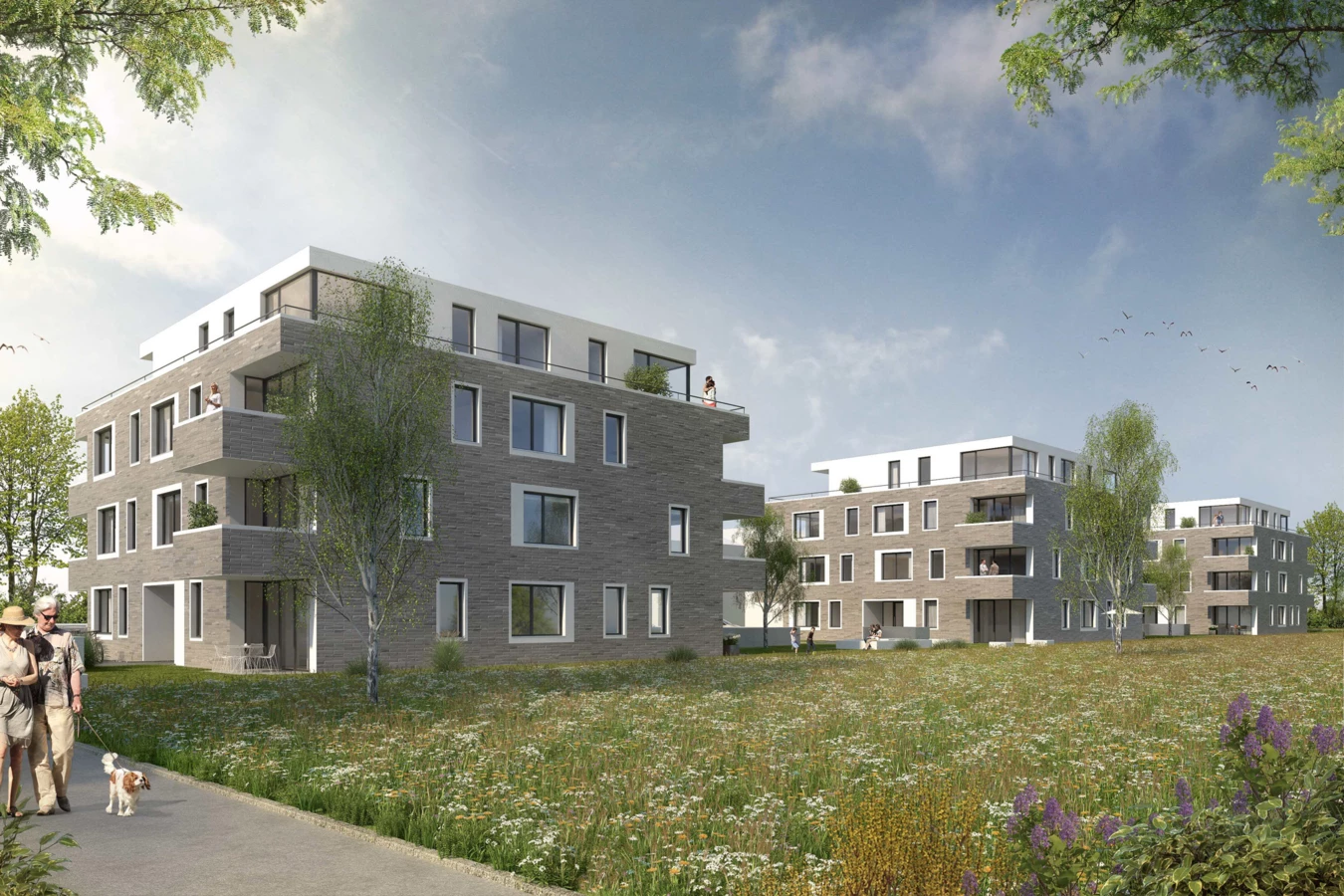 wohnen-am-schlosssee-in-salem-rhomberg-bau-gmbh